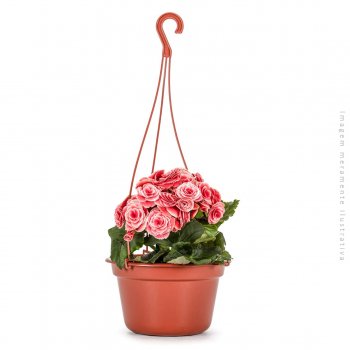 CACHEPOT C/ ALÇA TERRACOTA - 21x21x14 cm - 2,5L