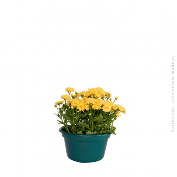 CACHEPOT SORTIDO - 21x21x14 cm - 2,5L